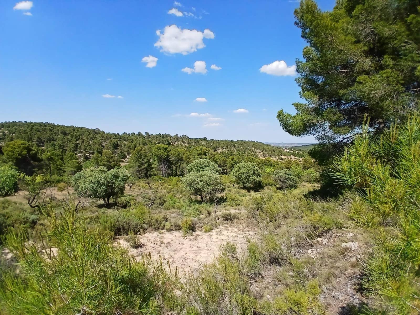 1 slaapkamer Finca/Landhuis te koop in Mazaleon - € 30.000 (Ref: 9994387)