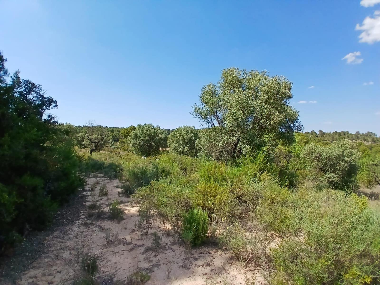 1 slaapkamer Finca/Landhuis te koop in Mazaleon - € 30.000 (Ref: 9994387)