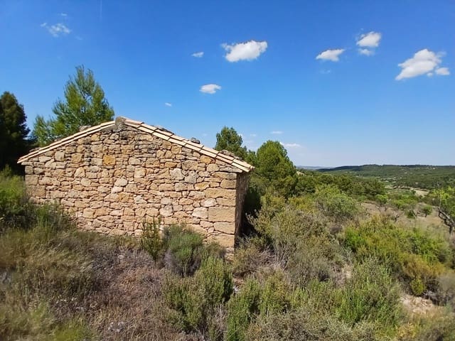1 slaapkamer Finca/Landhuis te koop in Mazaleón - € 30.000 (Ref: 9994387)