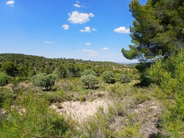 1 slaapkamer Finca/Landhuis te koop in Mazaleón - € 30.000 (Ref: 9994387)