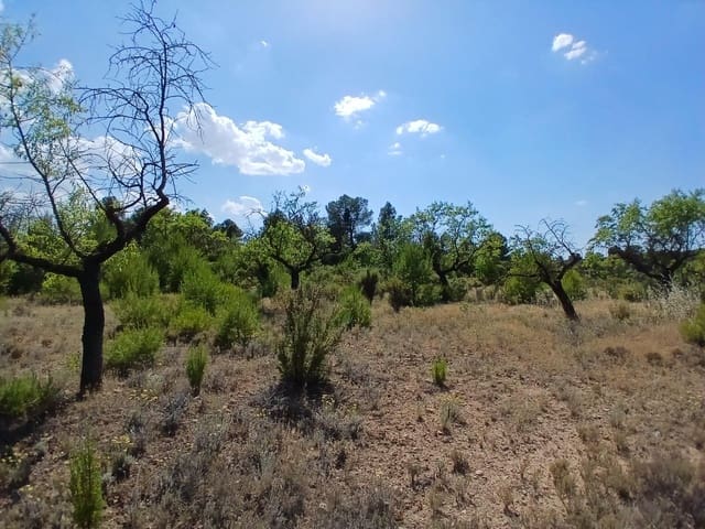 1 slaapkamer Finca/Landhuis te koop in Mazaleón - € 30.000 (Ref: 9994387)