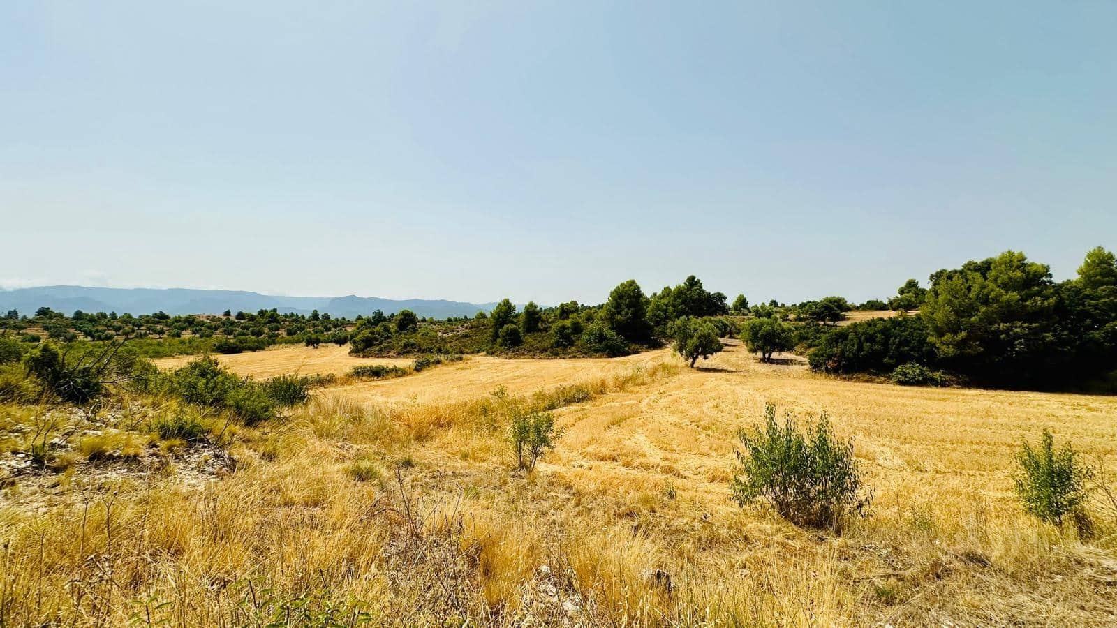1 soveværelse Finca/Landehus til salg i Cretas - € 52.000 (Ref: 9998927)