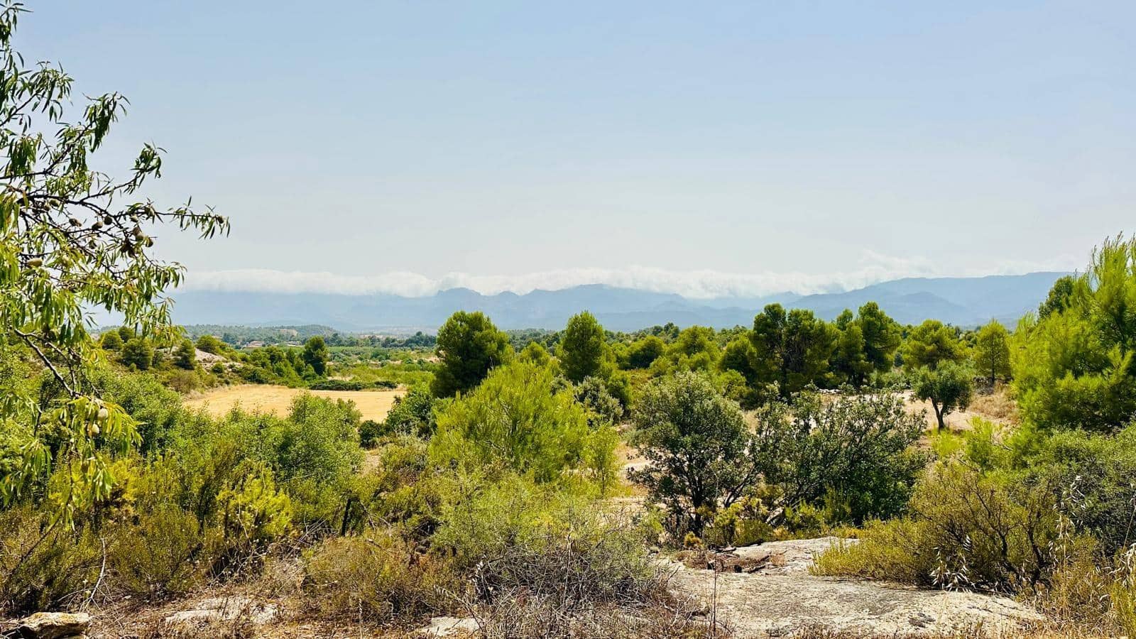 1 soveværelse Finca/Landehus til salg i Cretas - € 52.000 (Ref: 9998927)