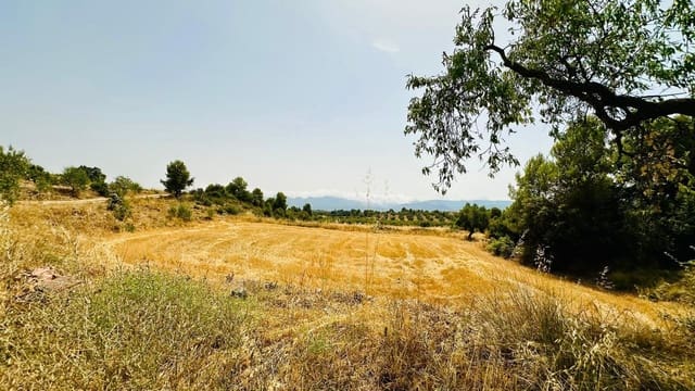 1 soveværelse Finca/Landehus til salg i Cretas - € 52.000 (Ref: 9998927)