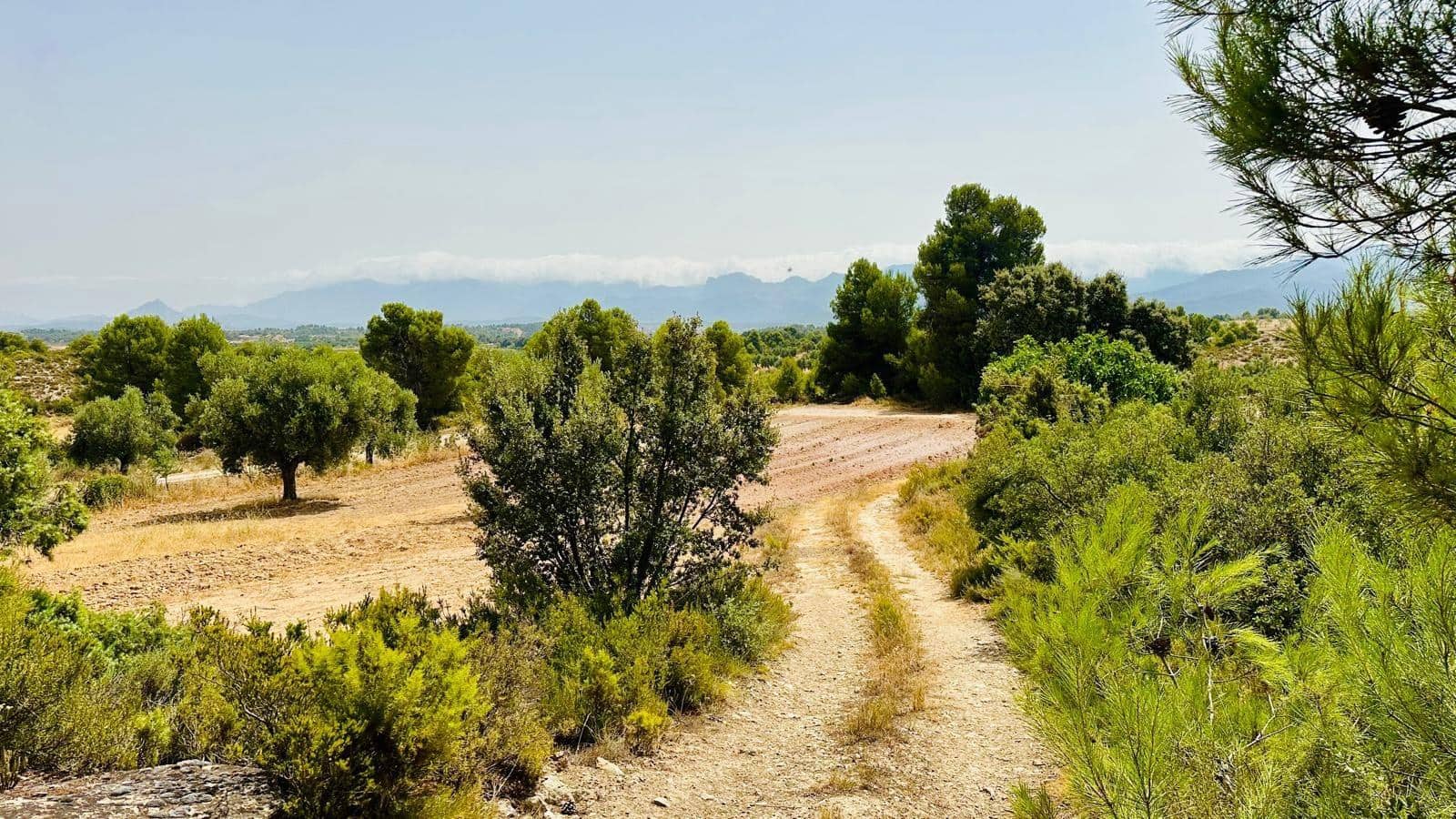 1 soveværelse Finca/Landehus til salg i Cretas - € 52.000 (Ref: 9998927)