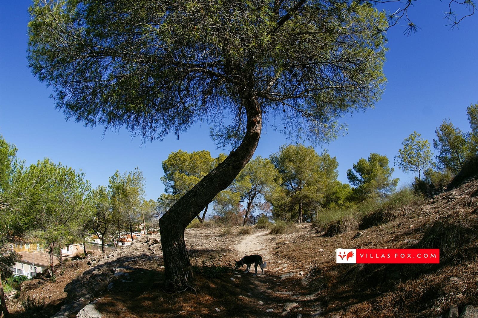 Apartamento de 2 habitaciones en San Miguel de Salinas en venta con piscina - 185.000 € (Ref: 10025822)
