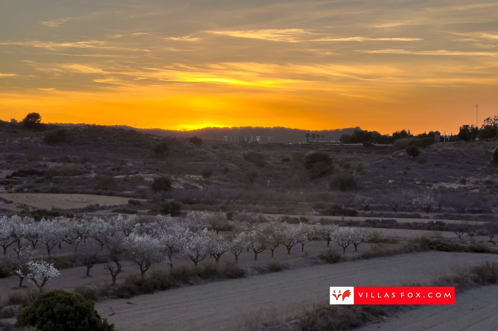 3 soverom Leilighet til salgs i San Miguel de Salinas med svømmebasseng garasje - € 169 000 (Ref: 8495294)