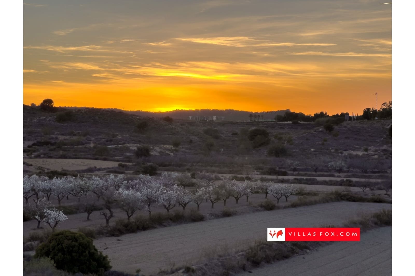 3 bedroom Villa for sale in Orihuela Costa with pool - € 895,000 (Ref: 8600258)