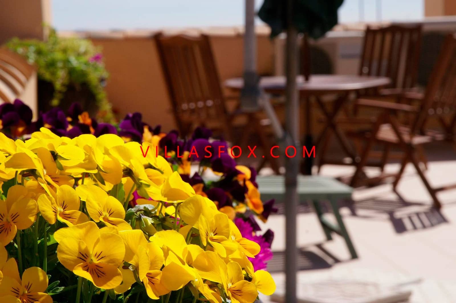 Apartamento de 2 habitaciones en San Miguel de Salinas en venta - 126.000 € (Ref: 8608773)