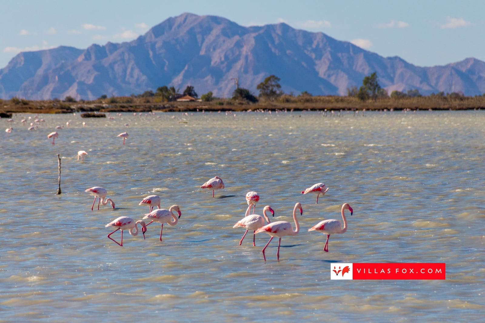 2 makuuhuone Huoneisto myytävänä paikassa Torrevieja mukana uima-altaan 
autotalli - 305 000 € (Ref: 8651272)