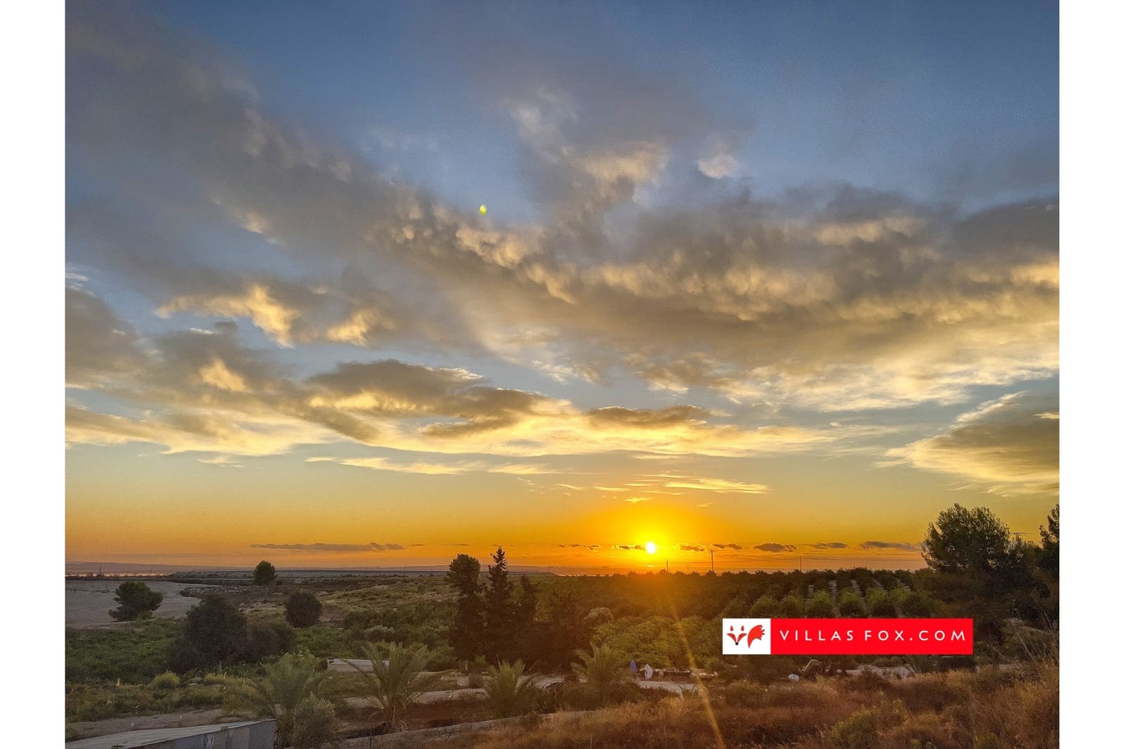 3 chambre Appartement à vendre à Pilar de la Horadada avec piscine - 409 900 € (Ref: 8928067)