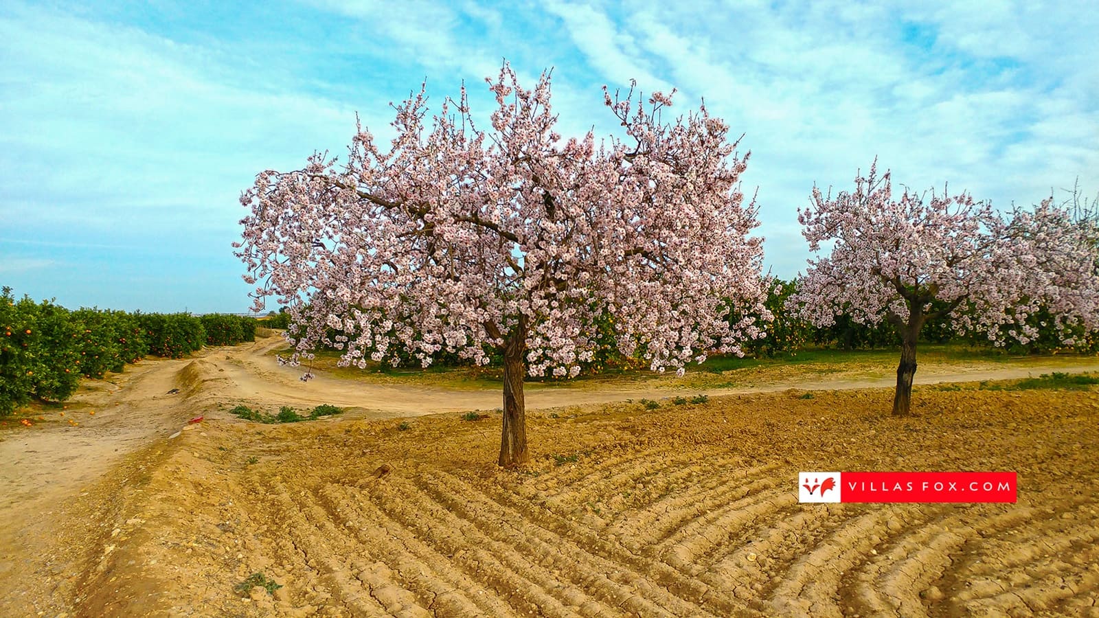 Apartamento de 3 habitaciones en San Miguel de Salinas en venta con piscina - 249.900 € (Ref: 8997285)