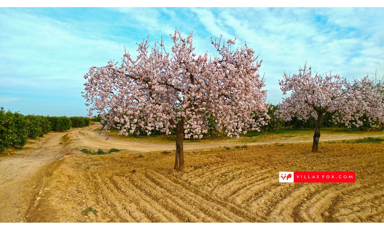 3 soverom Hus til salgs i San Miguel de Salinas med svømmebasseng garasje - € 249 000 (Ref: 9024970)