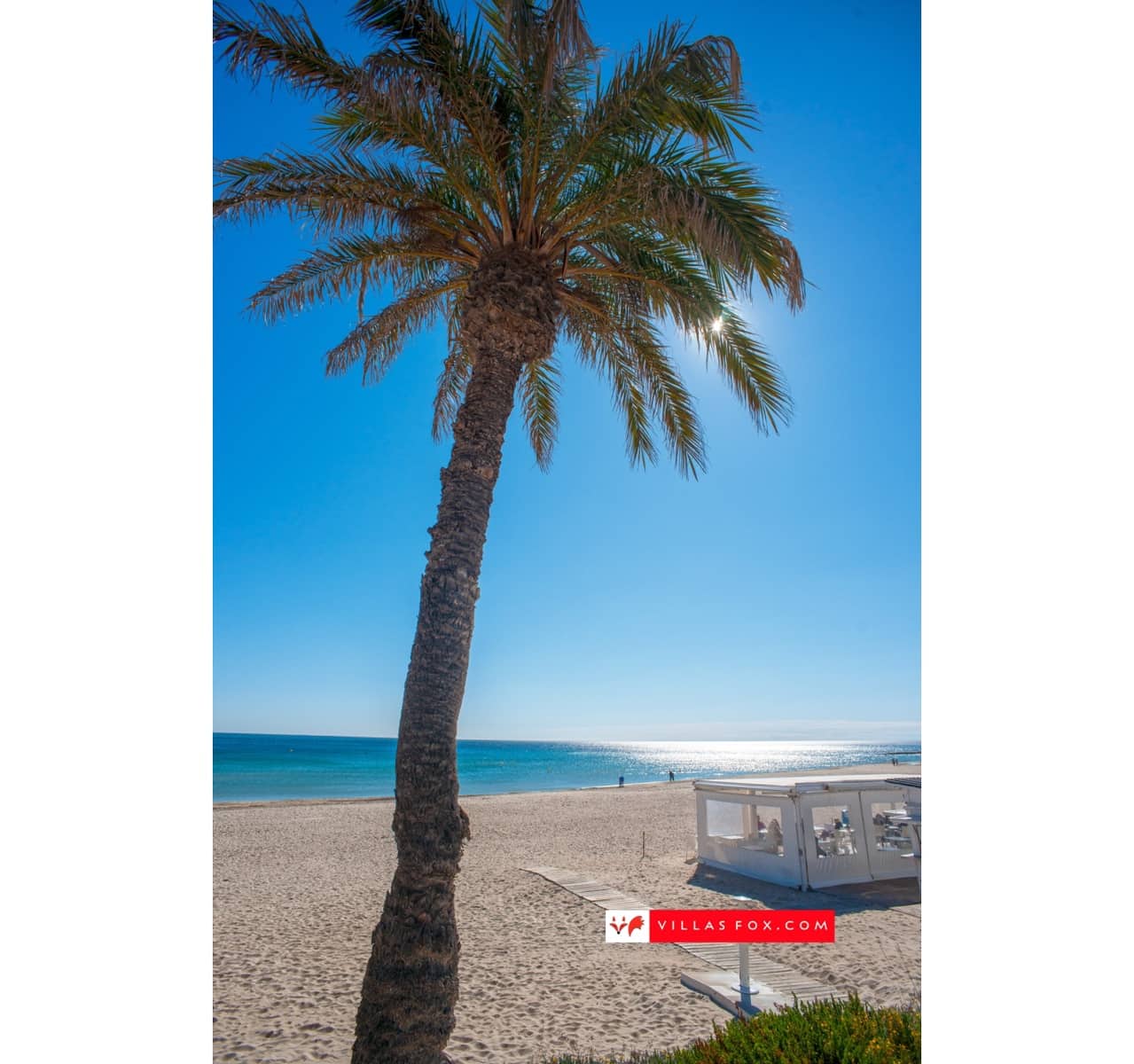 2 soveværelse Lejlighed til salg i San Miguel de Salinas med swimmingpool garage - € 180.000 (Ref: 9160559)