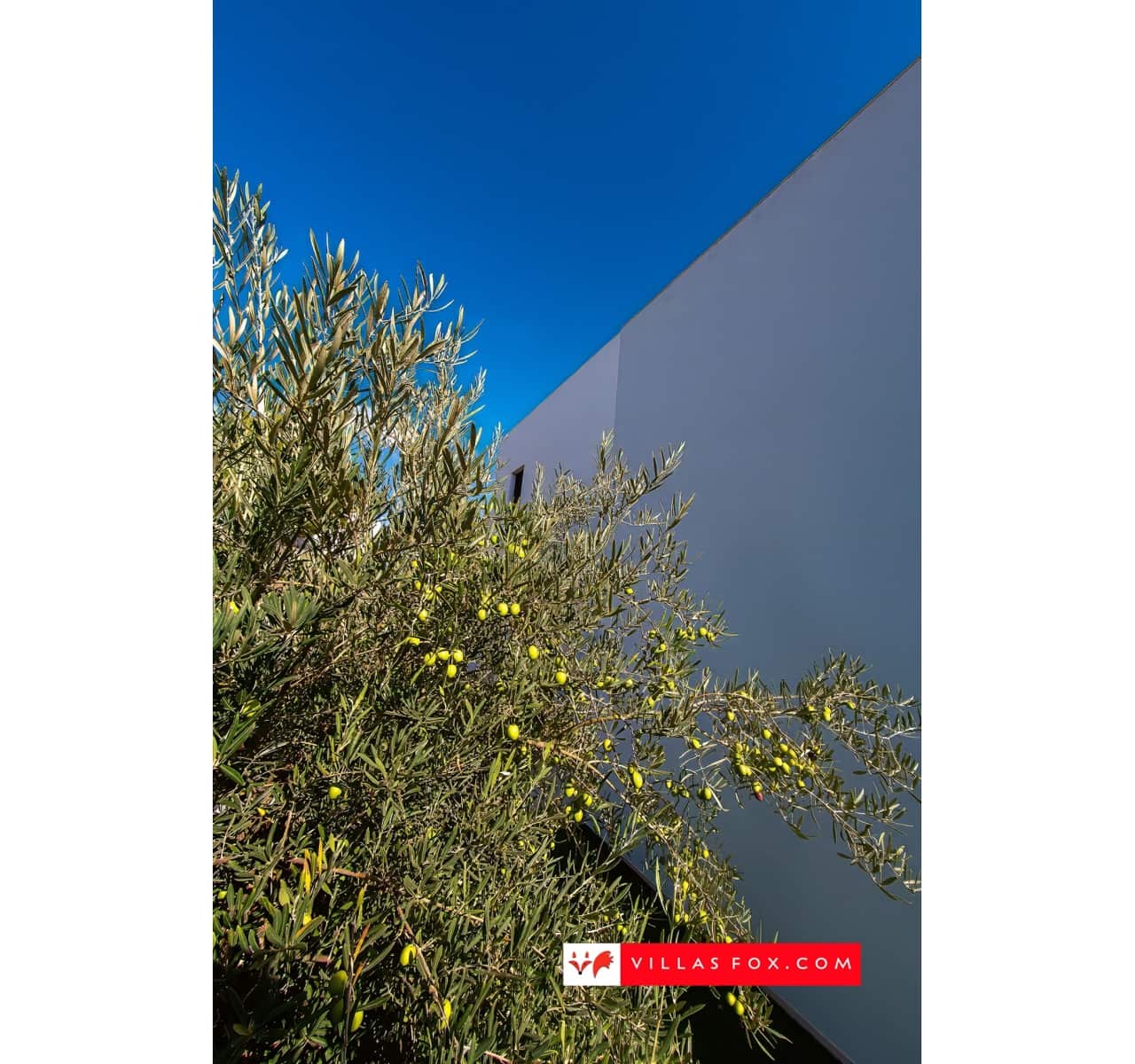 3 bedroom Villa for sale in Orihuela Costa with pool garage - € 995,000 (Ref: 9265633)