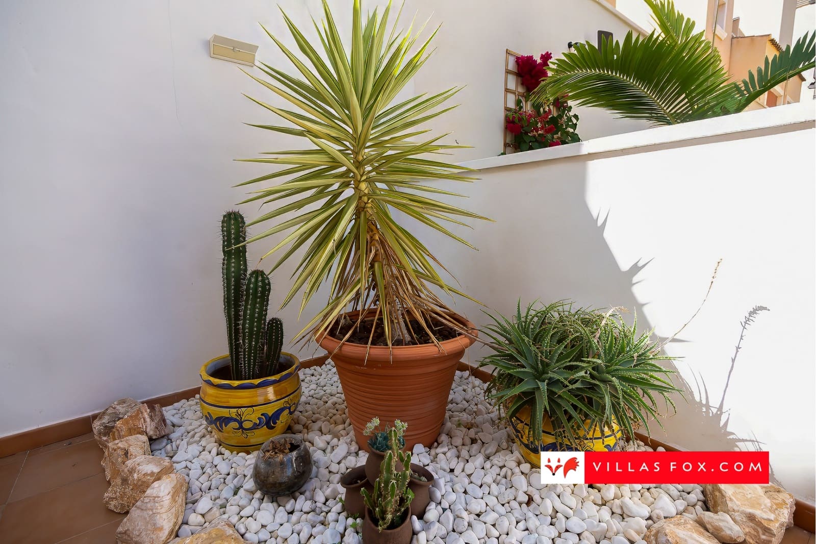 Chalet de 4 habitaciones en San Miguel de Salinas en venta con piscina - 269.950 € (Ref: 9278542)