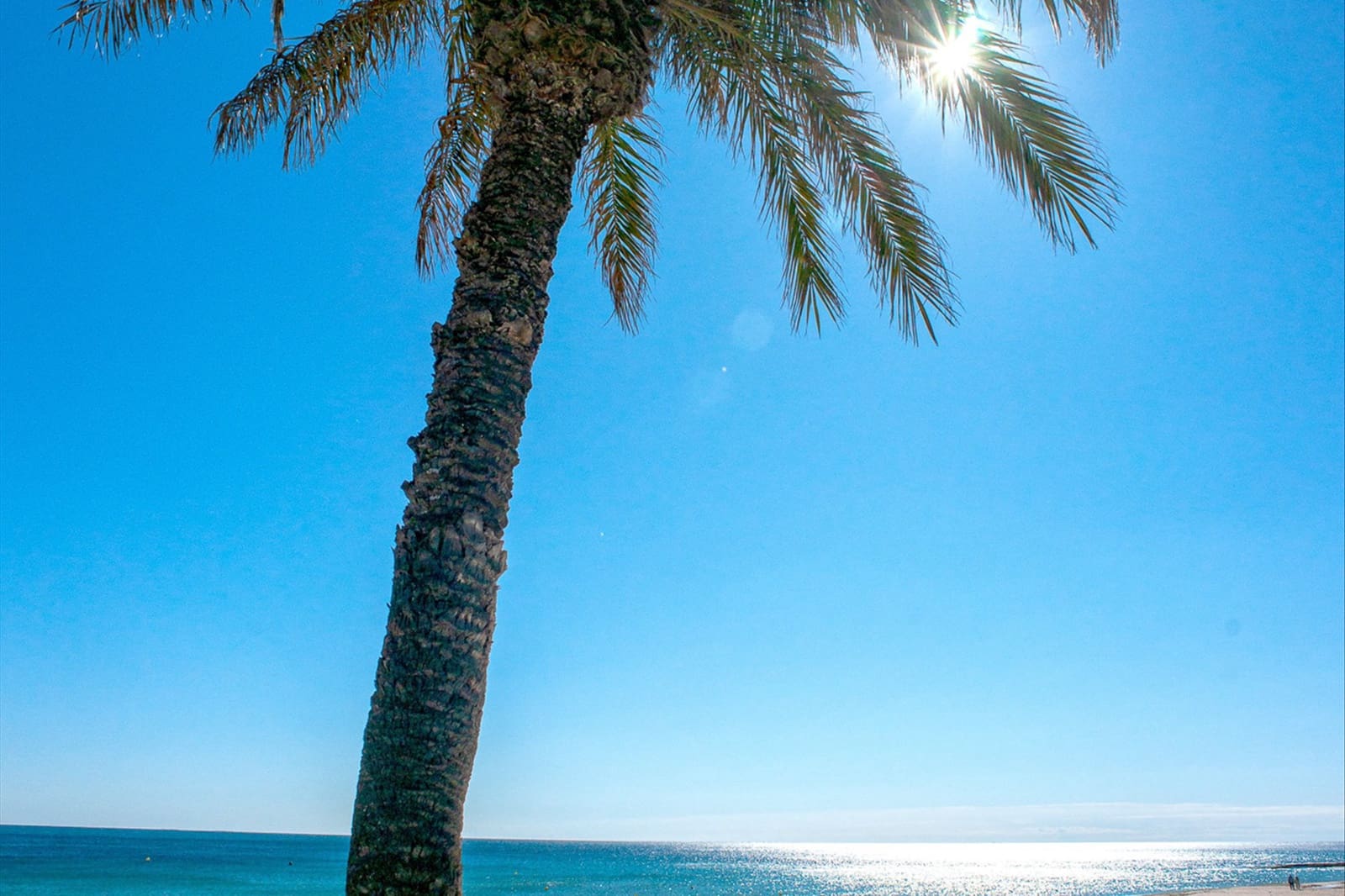 3 soverom Leilighet til salgs i San Miguel de Salinas med svømmebasseng - € 249 900 (Ref: 9292386)