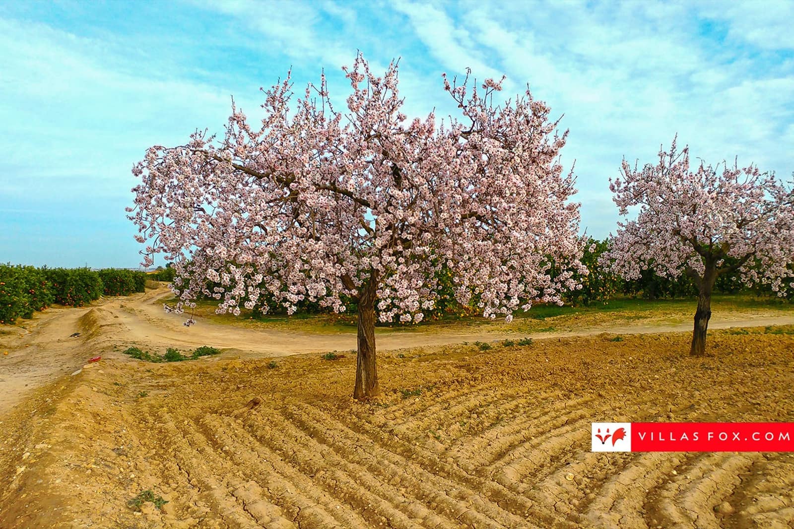 3 soverom Leilighet til salgs i San Miguel de Salinas med svømmebasseng - € 249 900 (Ref: 9292386)