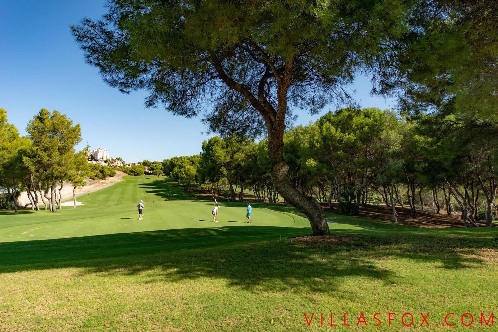 3 soveværelse Villa til salg i San Miguel de Salinas med swimmingpool garage - € 375.000 (Ref: 9302010)