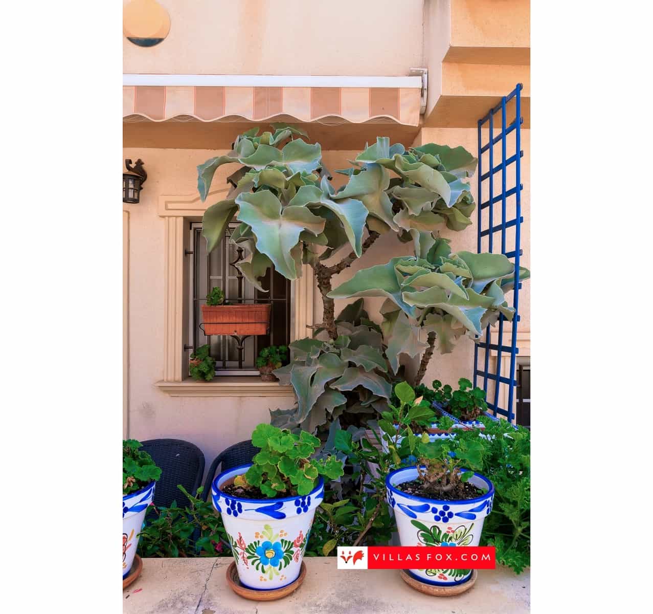 3 soveværelse Byhus til salg i San Miguel de Salinas med swimmingpool - € 189.500 (Ref: 9311607)