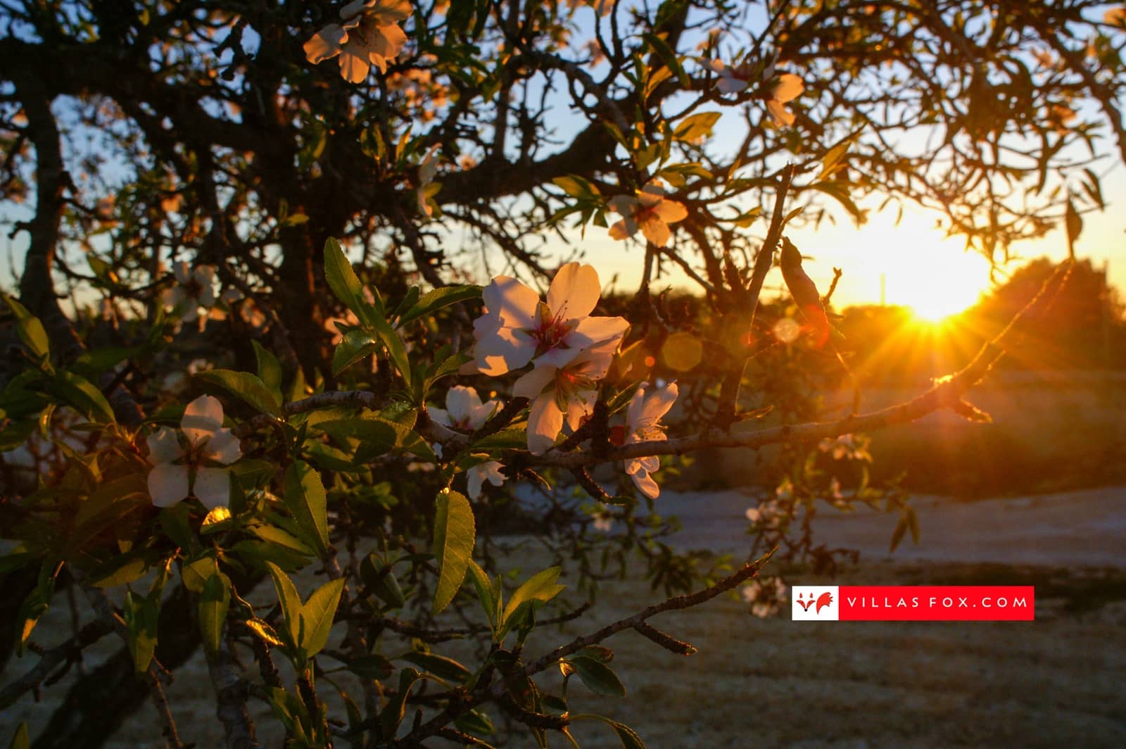 2 camera da letto Appartamento in vendita in San Miguel de Salinas - 99.000 € (Rif: 9353990)