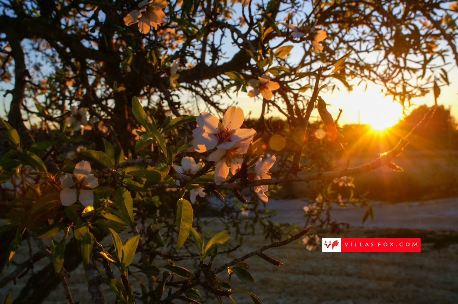 3 soverom Hus til salgs i San Miguel de Salinas med garasje - € 245 000 (Ref: 9408230)