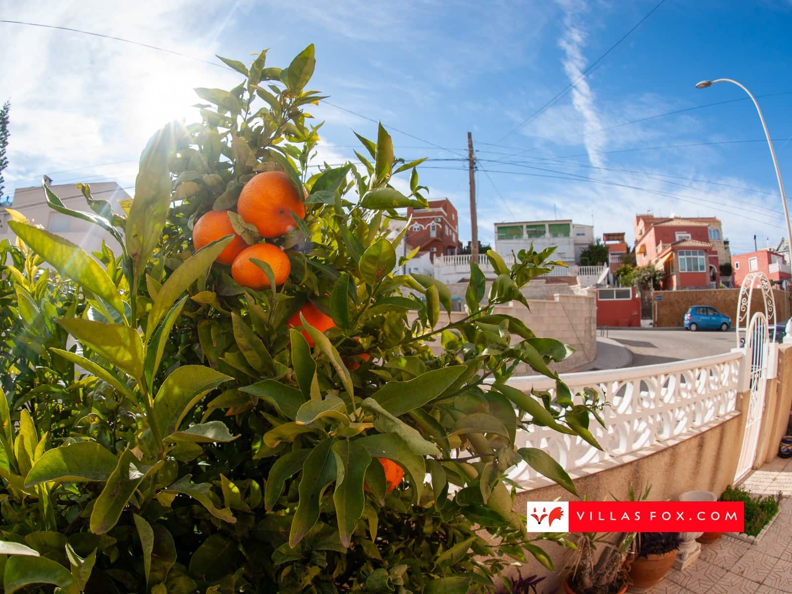 2 chambre Appartement à vendre à San Miguel de Salinas - 89 000 € (Ref: 9445532)