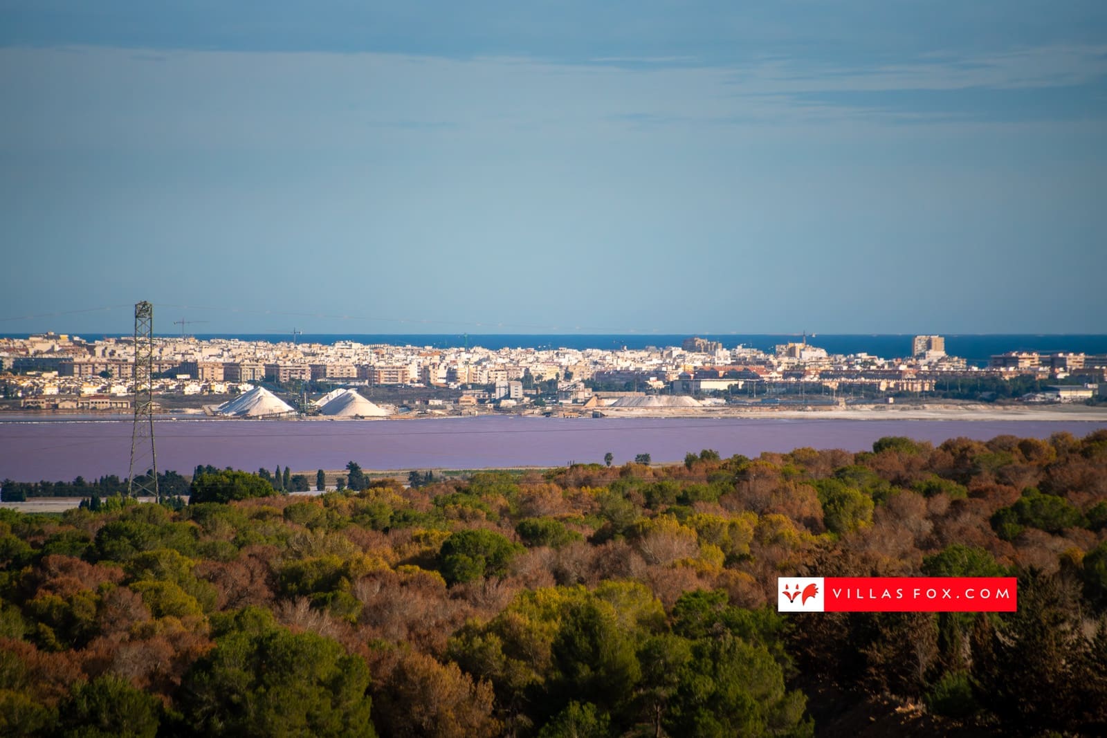 3 Zimmer Villa zu verkaufen in San Miguel de Salinas - 195.000 € (Ref: 9516554)