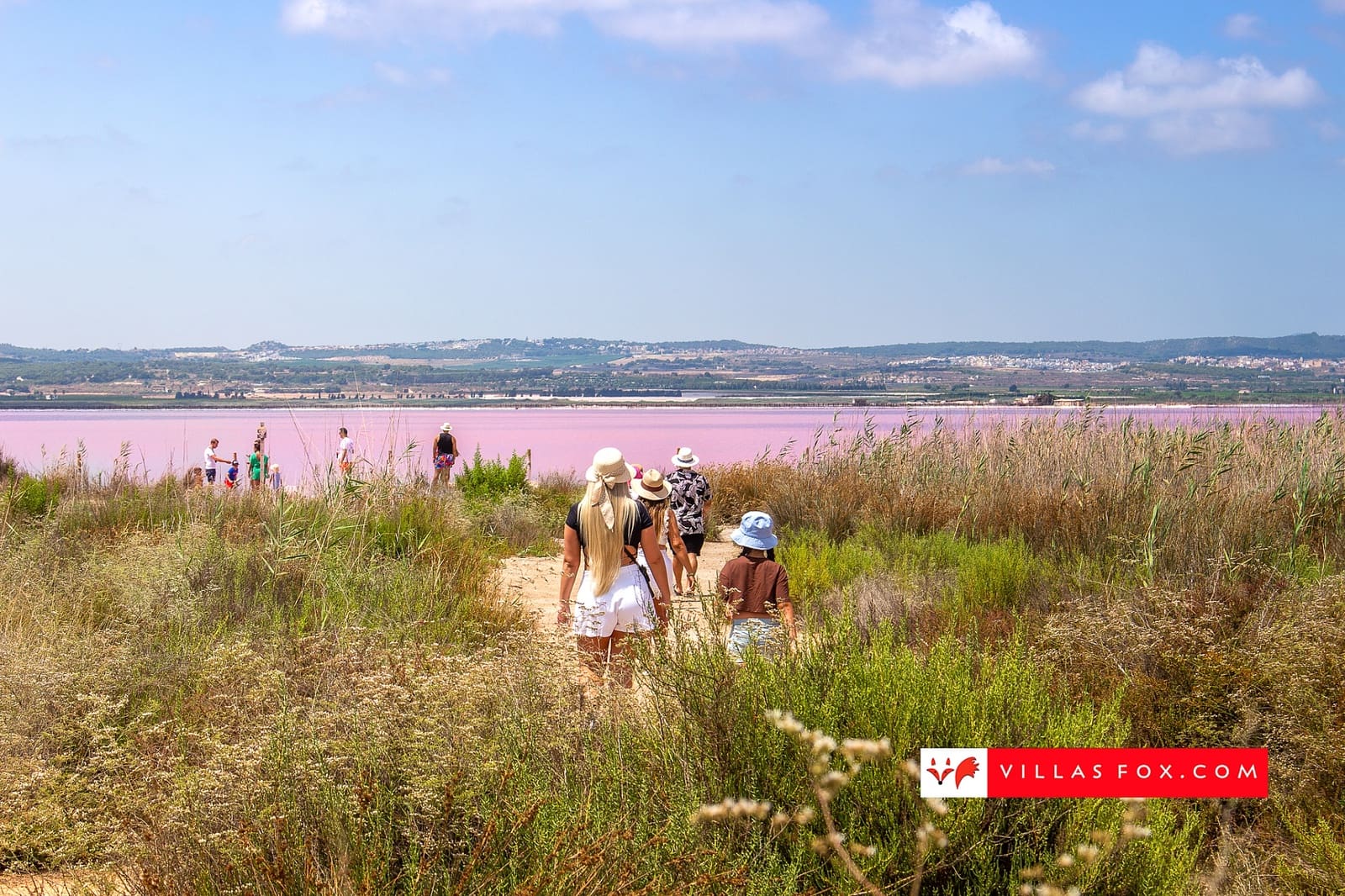 2 soverom Leilighet til salgs i San Miguel de Salinas med svømmebasseng garasje - € 184 000 (Ref: 9672173)