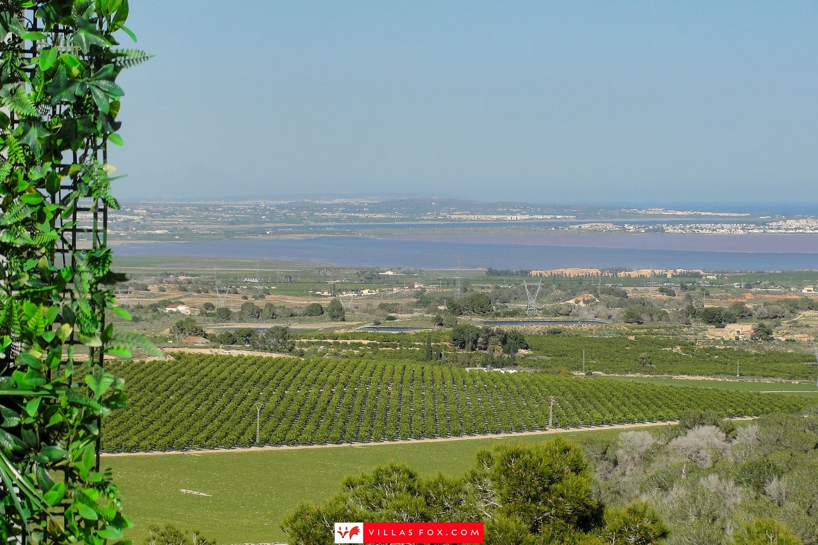 1 soveværelse Lejlighed til salg i San Miguel de Salinas - € 90.000 (Ref: 9689951)