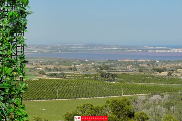 1 slaapkamer Appartement te koop in San Miguel de Salinas - € 90.000 (Ref: 9689951)