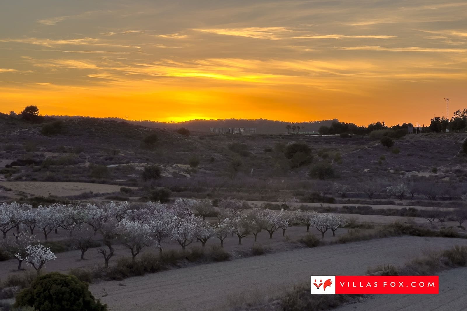 2 slaapkamer Halfvrijstaande villa te koop in San Miguel de Salinas met zwembad - € 190.000 (Ref: 9736187)