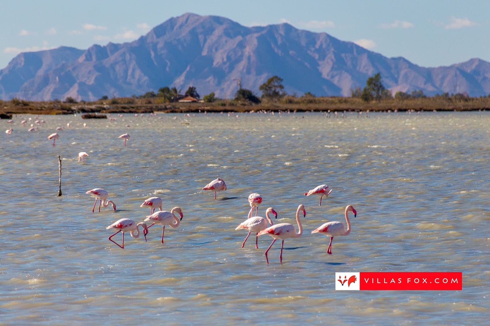 2 slaapkamer Halfvrijstaande villa te koop in San Miguel de Salinas met zwembad - € 190.000 (Ref: 9736187)
