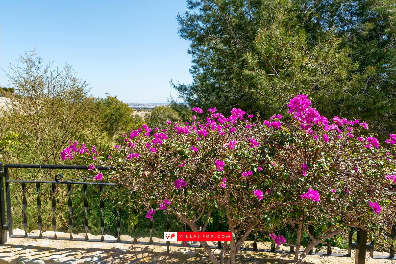 2 slaapkamer Halfvrijstaande villa te koop in San Miguel de Salinas met zwembad - € 190.000 (Ref: 9736187)