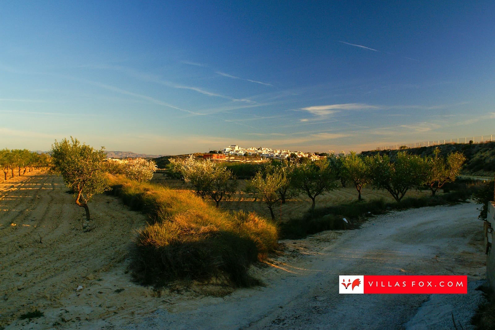 3 bedroom Villa for sale in San Miguel de Salinas with pool - € 275,000 (Ref: 9843985)